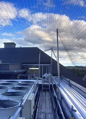 filets anti volatiles anti pigeon