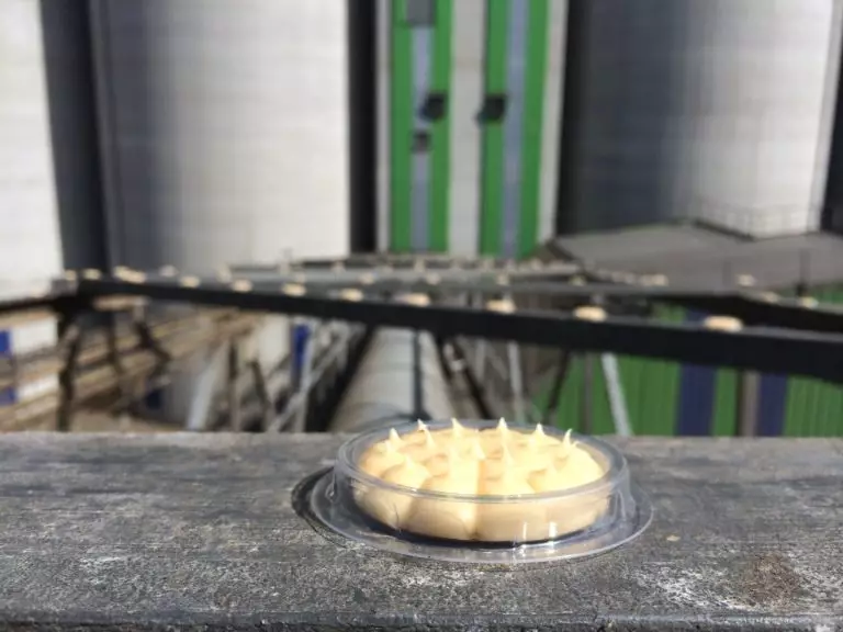 Solution répulsive installée sur une toiture