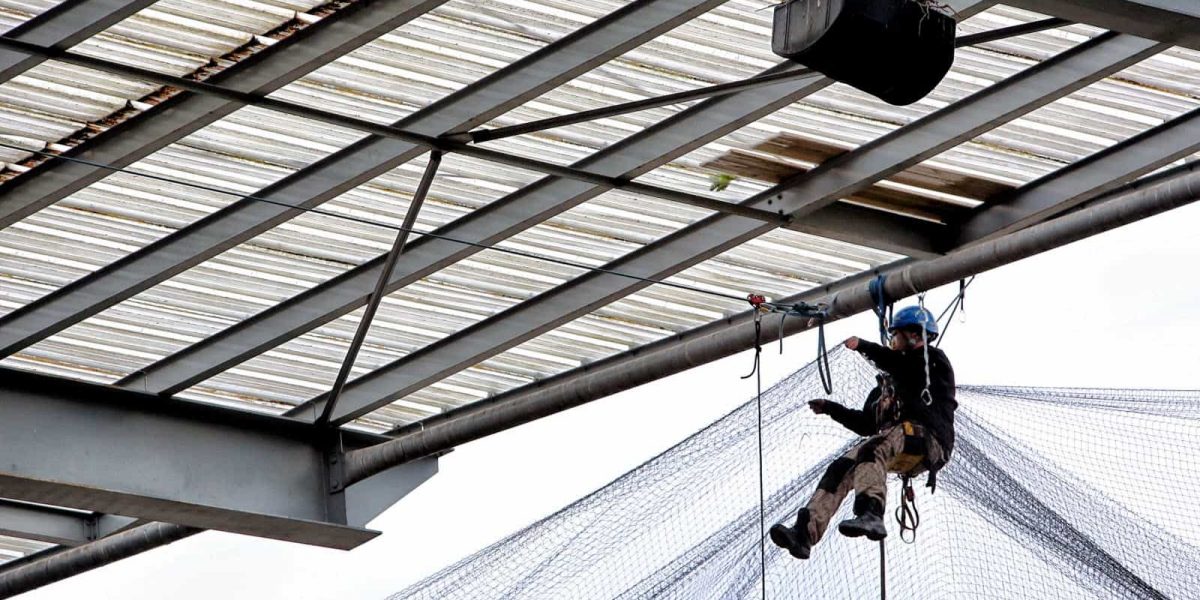 Ouvrier qui installe un filet anti-pigeon
