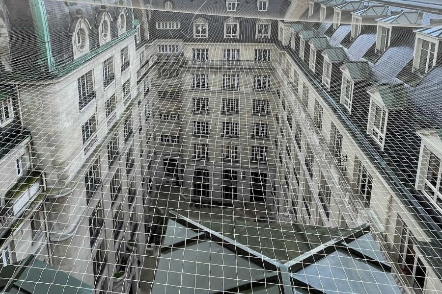 filets anti pigeons bathygiene bâtiment ancien saint denis