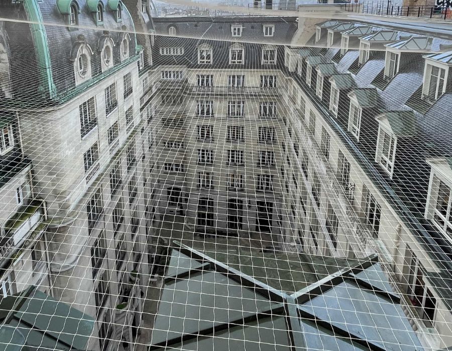 filets anti pigeons bathygiene bâtiment ancien saint denis