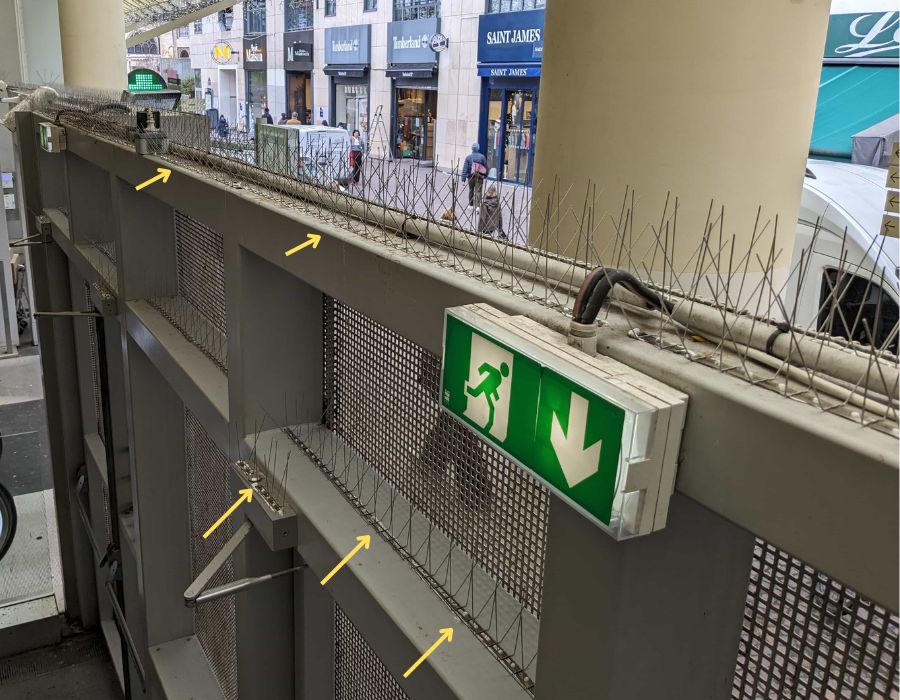 pics anti pigeons poses forum des halles par bathygiene