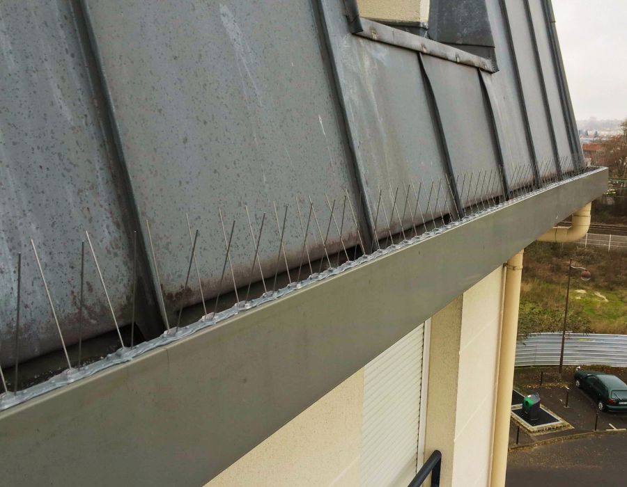 pics anti pigeons bathygiene en hauteur mairie